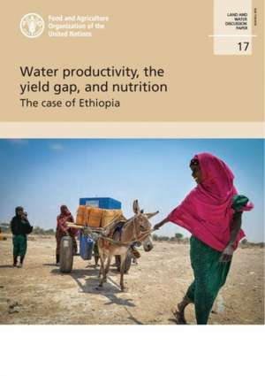 Water Productivity, the Yield Gap, and Nutrition de M. B. Wakeyo