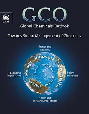 Global Chemicals Outlook: Towards Sound Management of Chemicals de United Nations