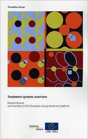 Treatment Systems Overview: Recommendation CM/Rec(2010)7 and Explanatory Memorandum de Directorate Council of Europe