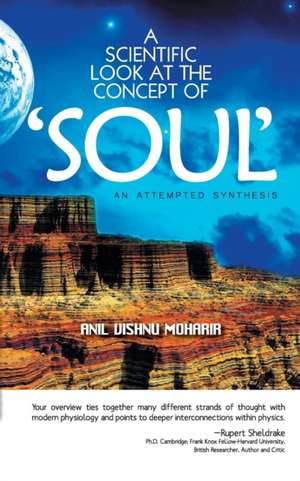 A Scientific Look at the Concept of Soul de Anil Vishnu Moharir