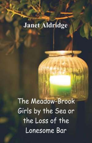 The Meadow-Brook Girls by the Sea de Janet Aldridge