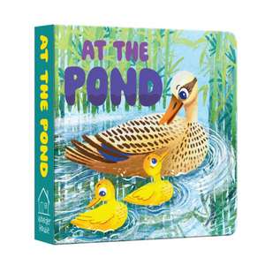 At the Pond de Wonder House Books