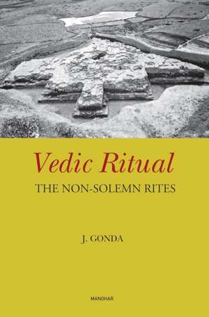 Vedic Ritual de J. Gonda