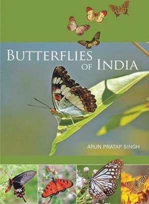 Butterflies of India de Pratap Singh Arun