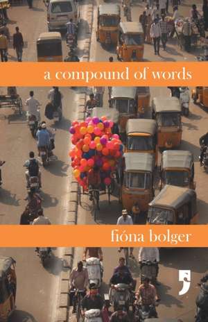 A Compound of Words de Fióna Bolger