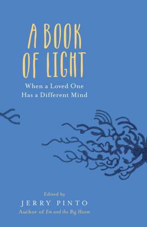 A Book of Light de Jerry Pinto