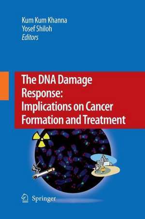 The DNA Damage Response: Implications on Cancer Formation and Treatment de Kum Kum Khanna