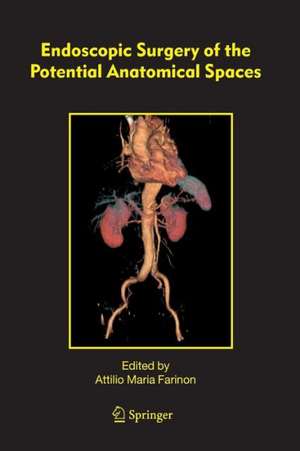 Endoscopic Surgery of the Potential Anatomical Spaces de F. Rulli