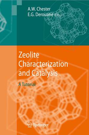 Zeolite Characterization and Catalysis: A Tutorial de Arthur W. Chester