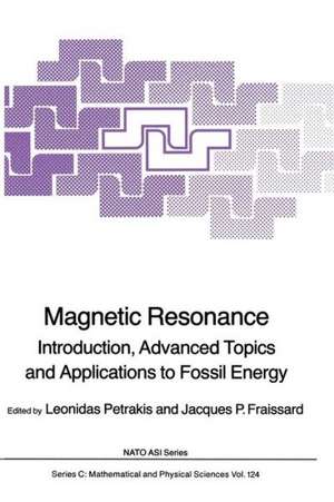 Magnetic Resonance: Introduction, Advanced Topics and Applications to Fossil Energy de Leonidas Petrakis