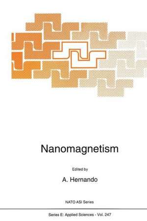 Nanomagnetism de A. Hernando