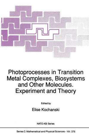 Photoprocesses in Transition Metal Complexes, Biosystems and Other Molecules. Experiment and Theory de E. Kochanski