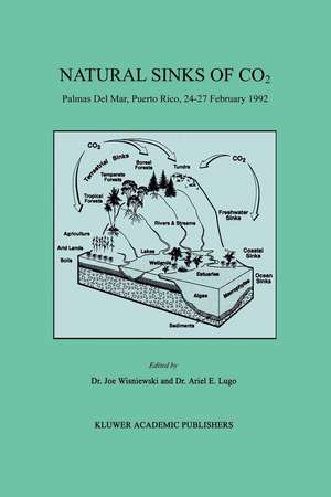 Natural Sinks of CO2: Palmas Del Mar, Puerto Rico, 24–27 February 1992 de Joe Wisniewski