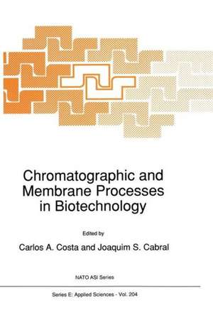 Chromatographic and Membrane Processes in Biotechnology de C.A. Costa