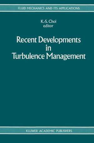 Recent Developments in Turbulence Management de K. S. Choi