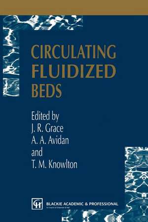 Circulating Fluidized Beds de J. R. Grace