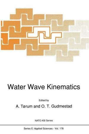 Water Wave Kinematics de A. Tørum