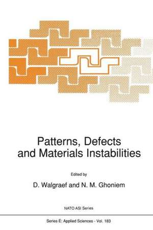 Patterns, Defects and Materials Instabilities de D. Walgraef