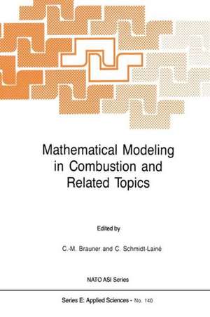 Mathematical Modeling in Combustion and Related Topics de Claude-Michel Brauner