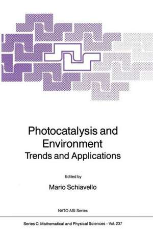 Photocatalysis and Environment: Trends and Applications de Mario Schiavello