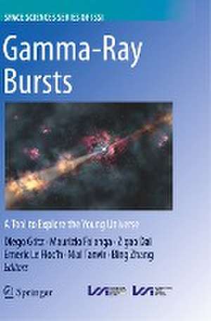 Gamma-Ray Bursts: A Tool to Explore the Young Universe de Diego Götz