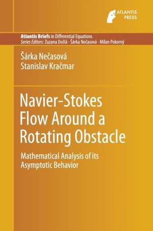 Navier-Stokes Flow Around a Rotating Obstacle: Mathematical Analysis of its Asymptotic Behavior de Sarka Necasova