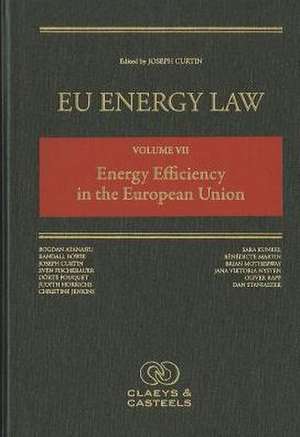 EU Energy Law Volume VII: Energy Efficiency in the European Union de Joseph Curtin