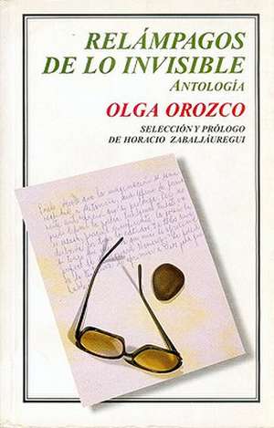 Relampagos de Lo Invisible. Antologia de Horacio Zabaljauregui