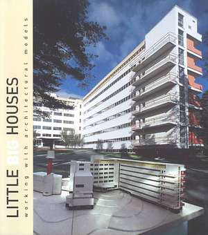 Little Big Houses: Working with Architectural Models de Jari Jetsonen