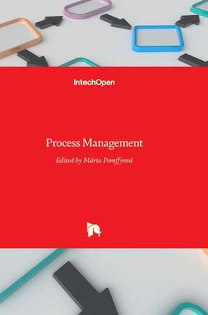 Process Management de Maria Pomffyova