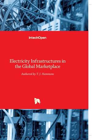 Electricity Infrastructures in the Global Marketplace de Thomas Hammons