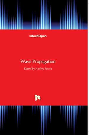 Wave Propagation de Andrey Petrin