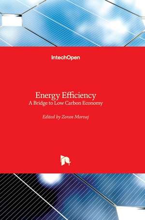 Energy Efficiency de Zoran Morvaj