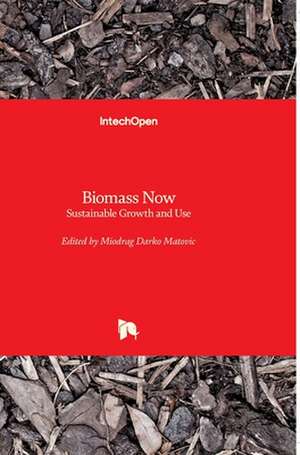 Biomass Now de Miodrag Darko Matovic