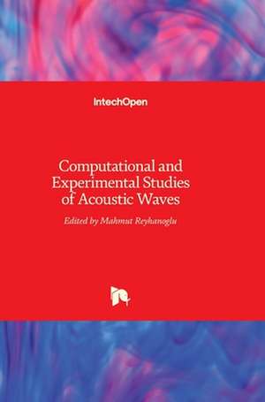 Computational and Experimental Studies of Acoustic Waves de Mahmut Reyhanoglu