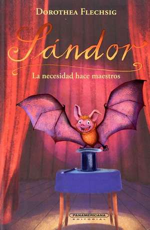 Sandor. La Necesidad Hace Maestros de Dorothea Flechsig