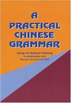 A Practical Chinese Grammar de Hongnian Zhang