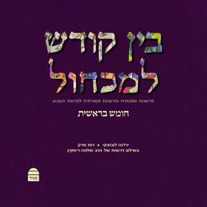 Bein Kodesh Le-Mikchol de Shlomo Riskin