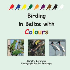 Birding in Belize with Colours de Dorothy Beveridge