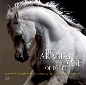 The Arabian Horse of Egypt de Cynthia Culbertson