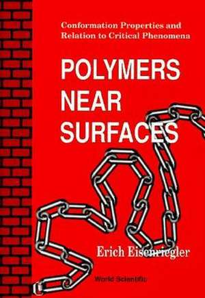 Polymers Near Surfaces: Conformation Properties and Relation to Critical Phenomena de Erich Eisenriegler