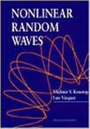 Nonlinear Random Waves de Vladimir V Konotop