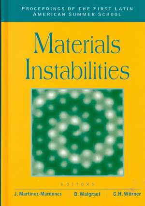 Materials Instabilities - Proceedings of the First Latin American Summer School de D. Walgraef