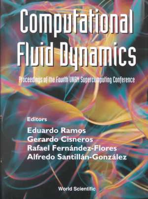 Computational Fluid Dynamics - Proceedings of the Fourth Unam Supercomputing Conference de Eduardo Ramos