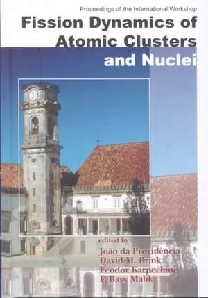 Fission Dynamics of Atomic Clusters and Nuclei - Proceedings of the International Workshop de David M. Brink