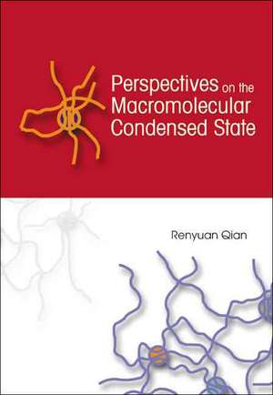 Perspectives on the Macromolecular Conde de Renyuan Qian