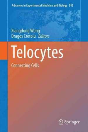 Telocytes: Connecting Cells de Xiangdong Wang