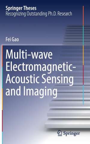 Multi-wave Electromagnetic-Acoustic Sensing and Imaging de Fei Gao