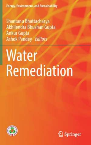 Water Remediation de Shantanu Bhattacharya