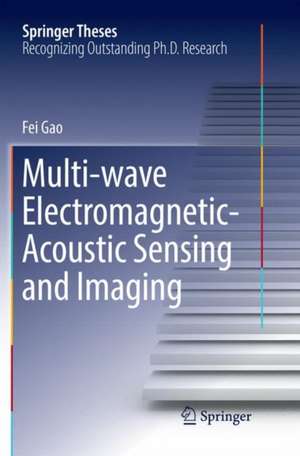 Multi-wave Electromagnetic-Acoustic Sensing and Imaging de Fei Gao